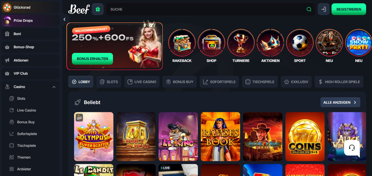 Plattformprofil Betreiberstruktur und technische Basis